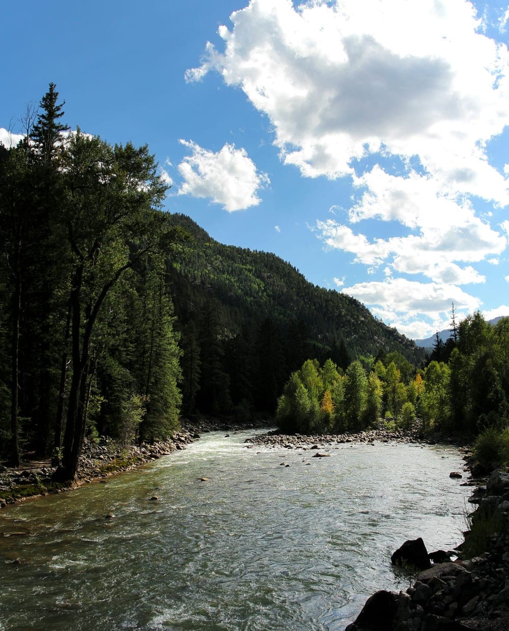 Fly Fishing