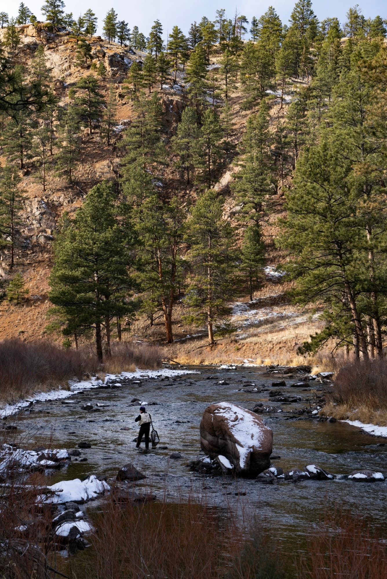 Fishing Lodge Marketing in 2026: The Complete Guide
