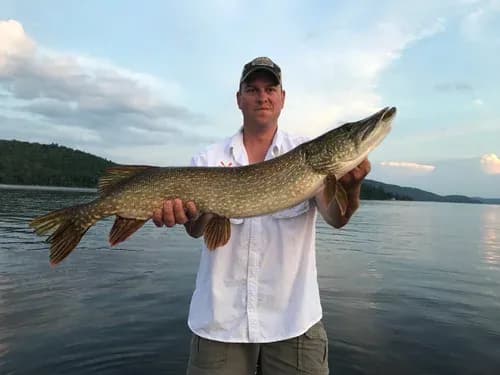 Adirondack Mountain Outfitters lodge photo