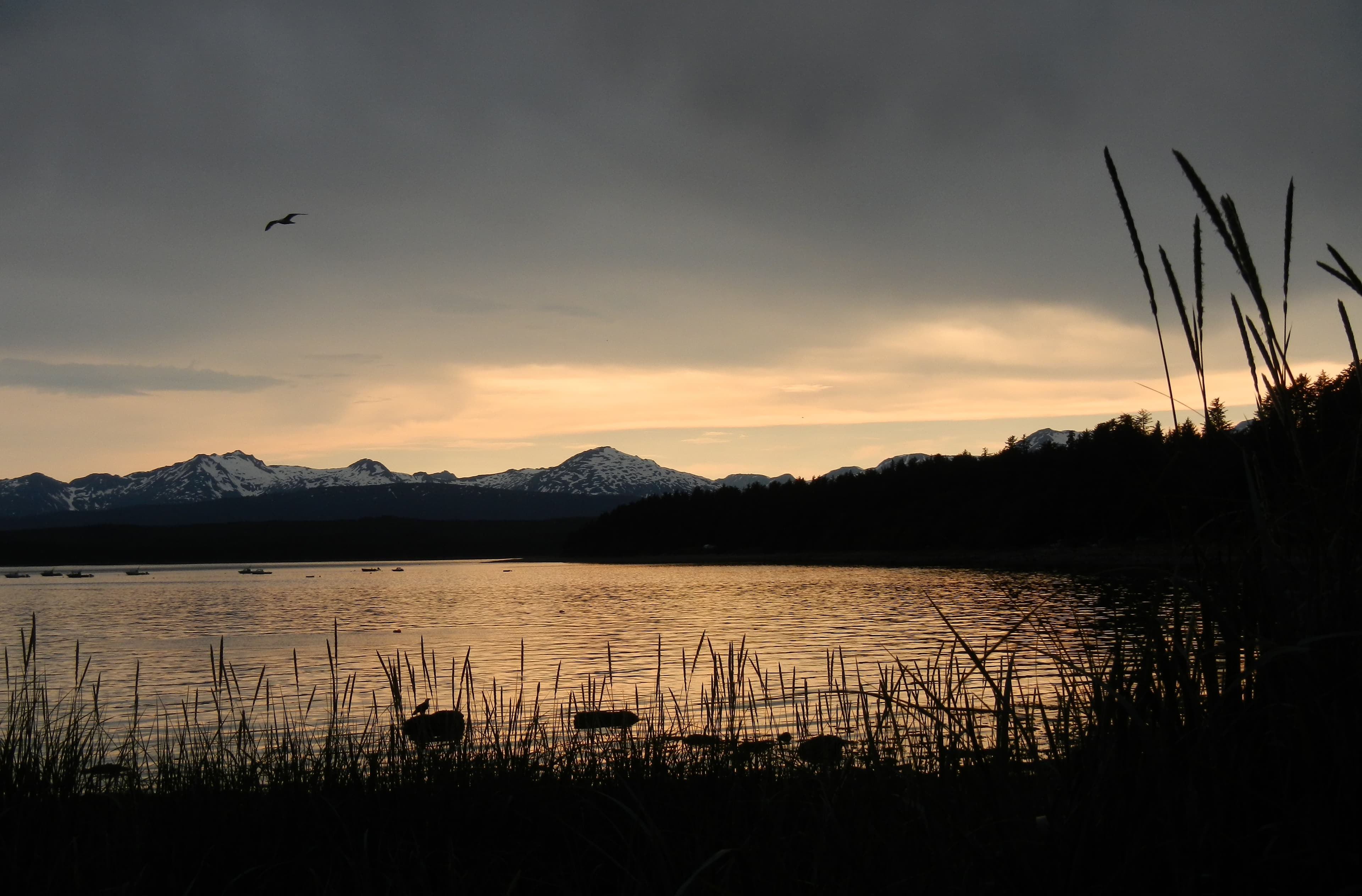 Anchor Point Lodge lodge photo