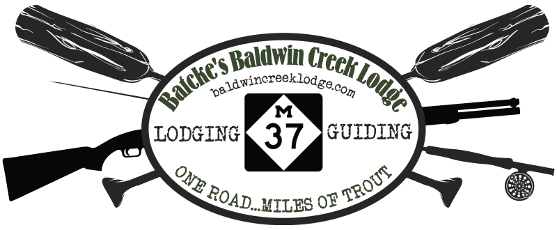 Batcke's Baldwin Creek Lodge lodge photo