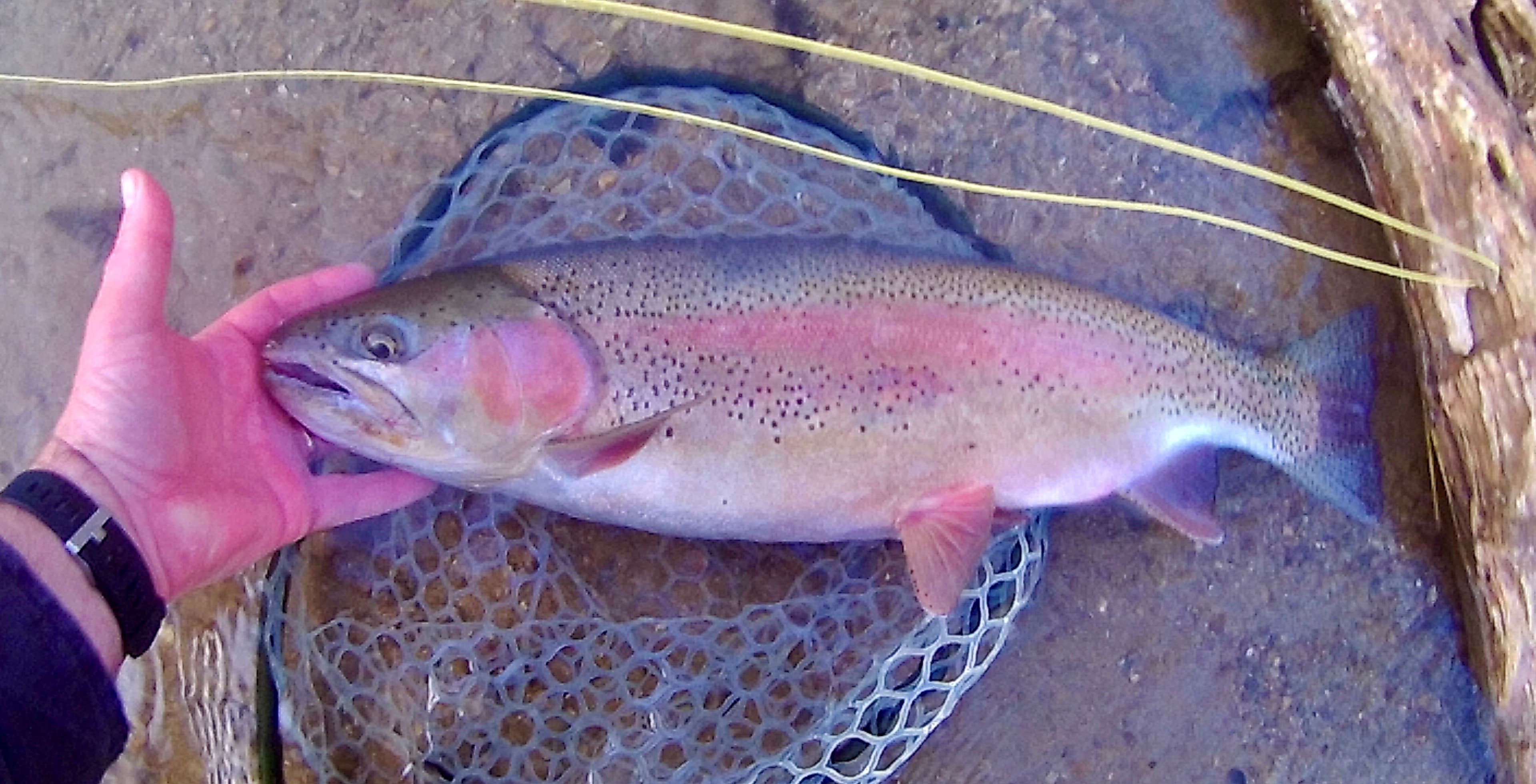 Big Spring Watershed Association lodge photo