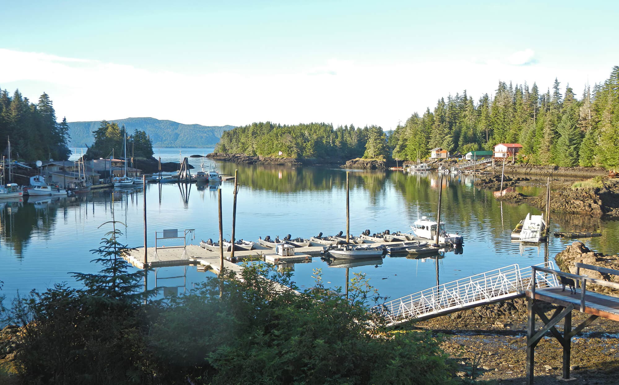 Calder Mountain Lodge lodge photo