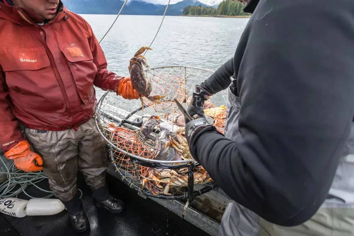Chrome Chasers Fall Fish and Forage lodge photo