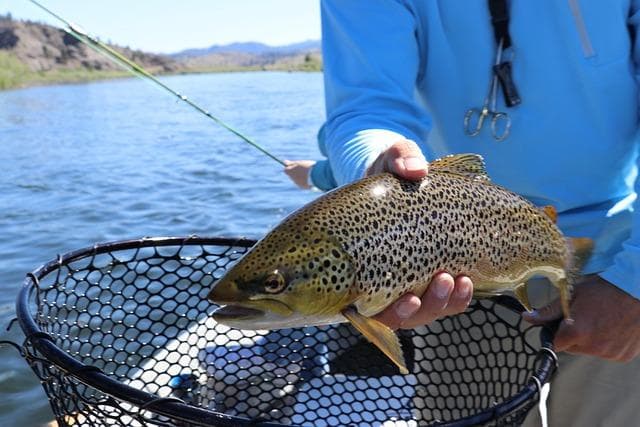 Classic Outfitters lodge photo
