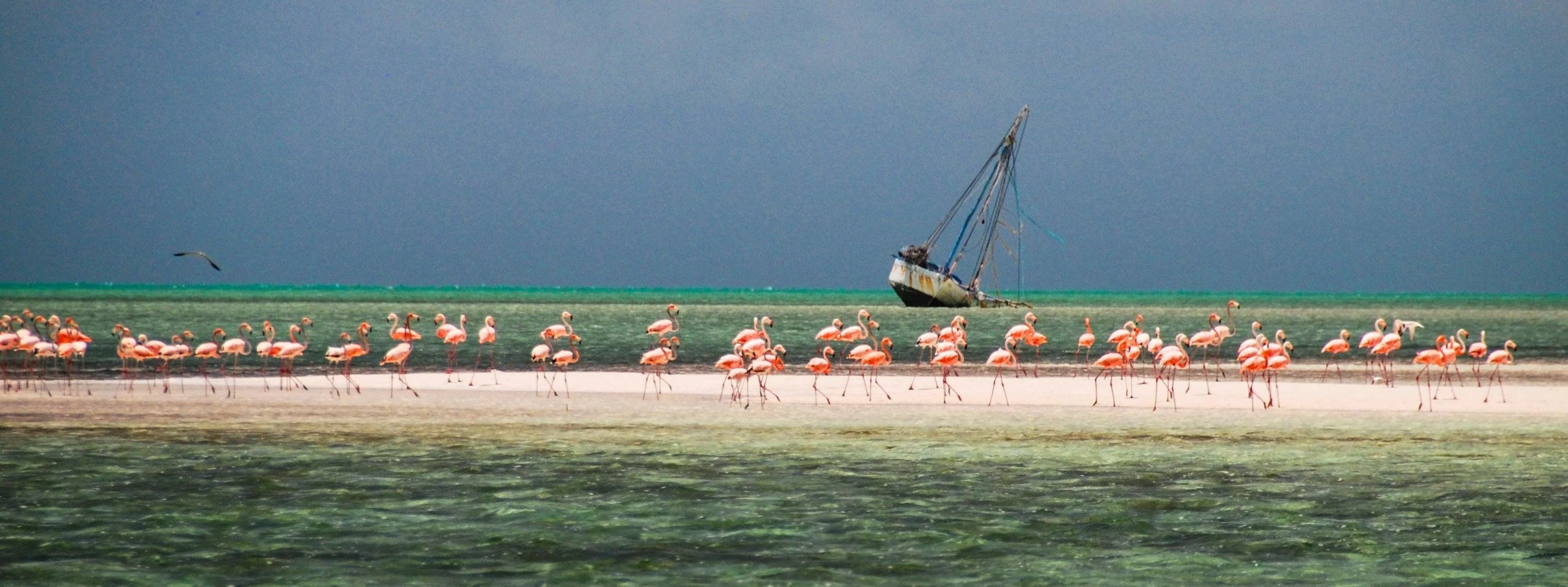 Crooked Island Lodge lodge photo