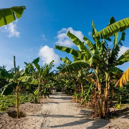 FAIMA FISHING LODGE AT DARAVANDHOO Dharavandhoo lodge photo