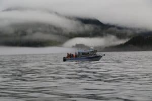 Finding Inspiration (and lots of fish) at Waterfall Resort lodge photo