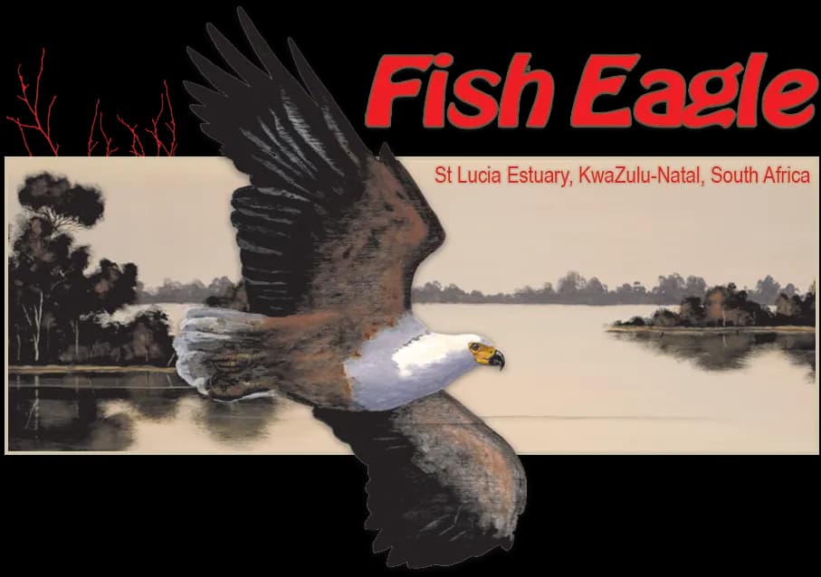 Fish Eagle Holiday Accommodation lodge photo