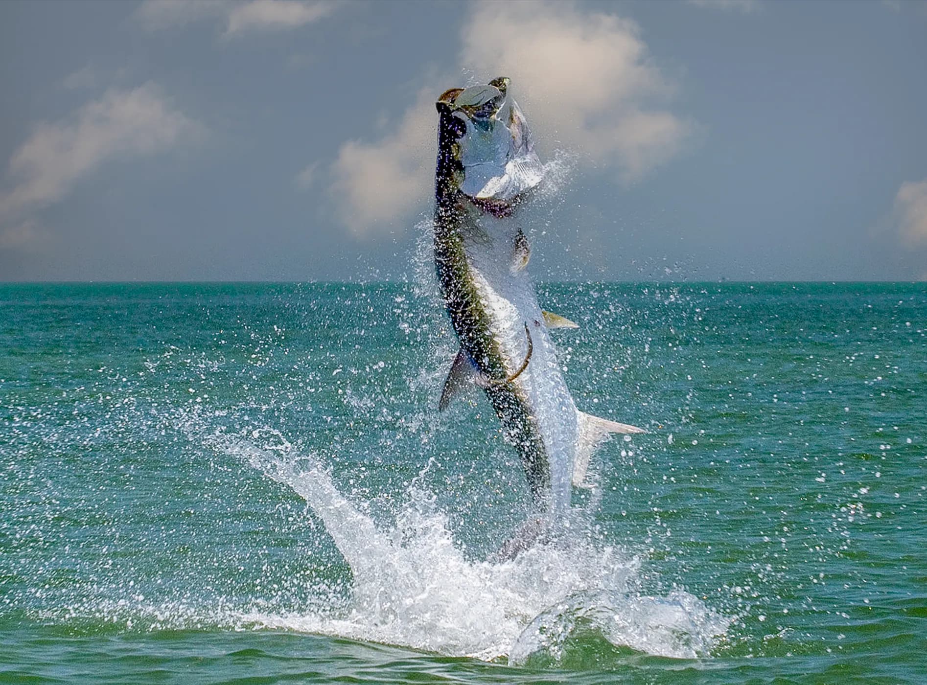 Florida Keys Fly and Light Tackle Fishing Guide lodge photo