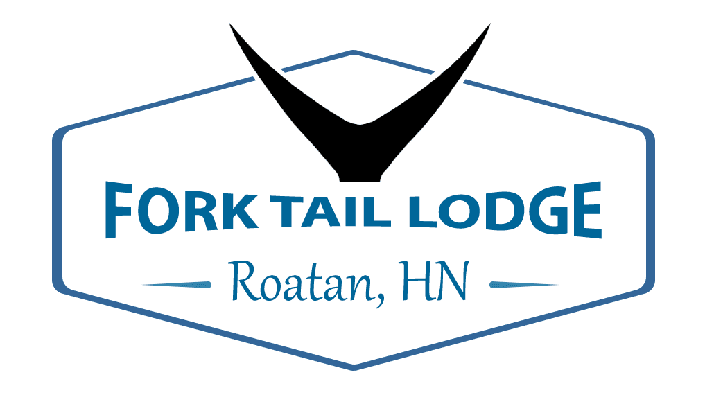 Forktail Lodge lodge photo