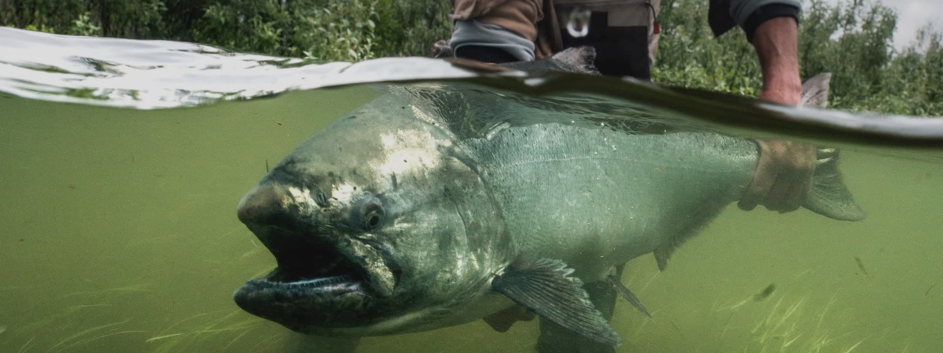 Good News River Fishing lodge photo