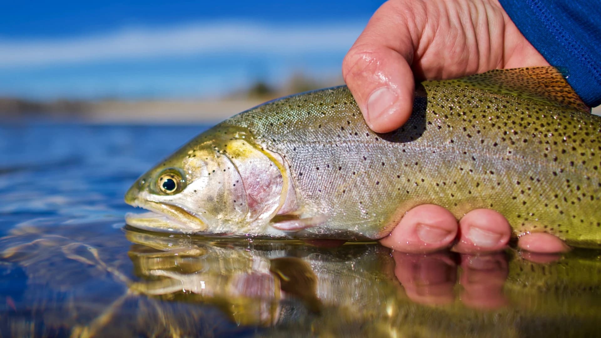Grand Teton Flyfishing lodge photo