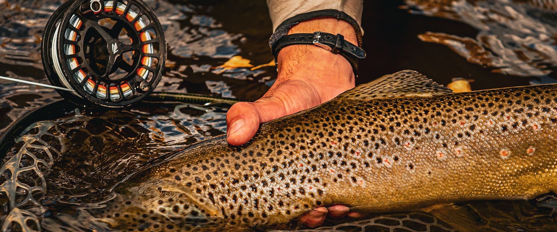 Gunnison Fly Fishing lodge photo