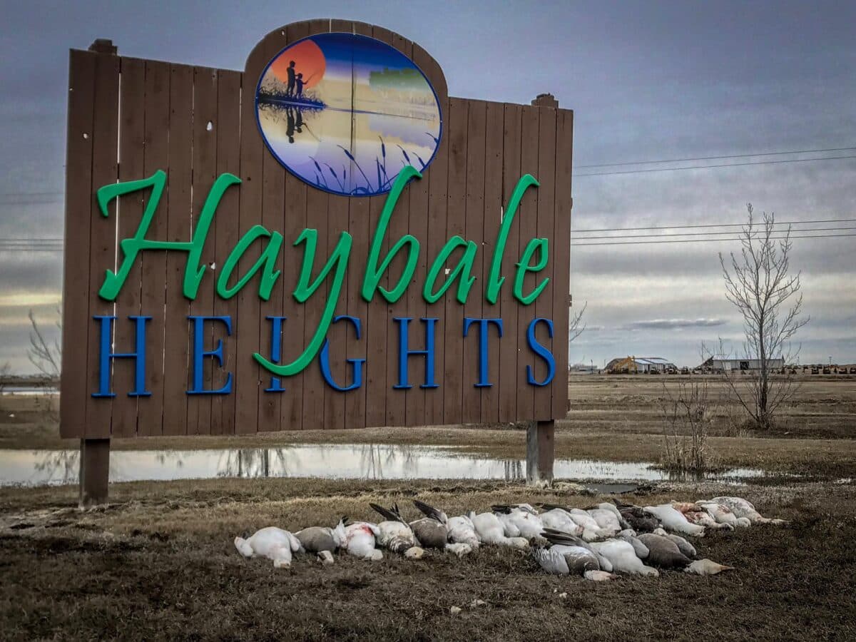 Haybale Heights Resort lodge photo