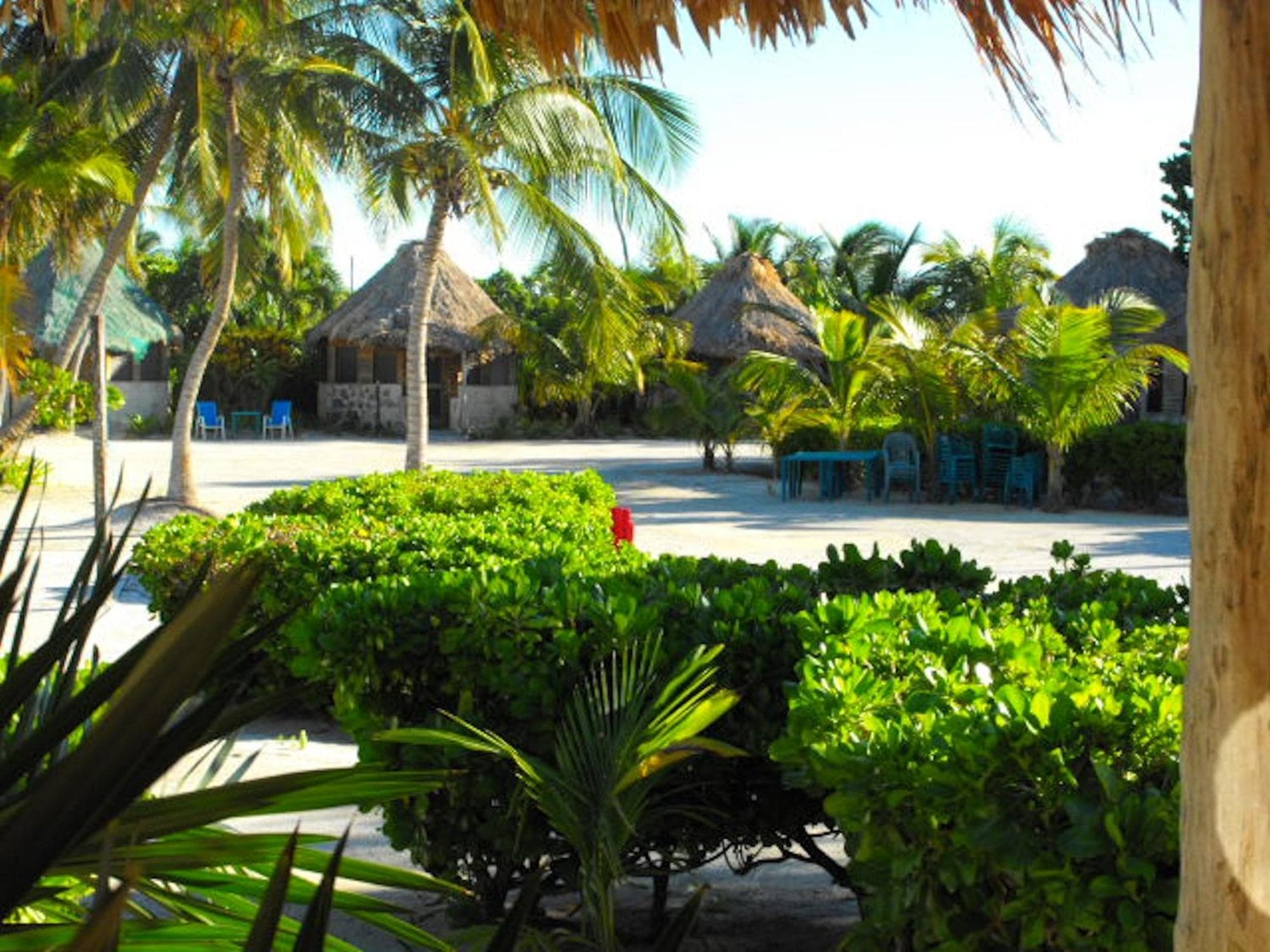 Hotel Costa de Cocos lodge photo