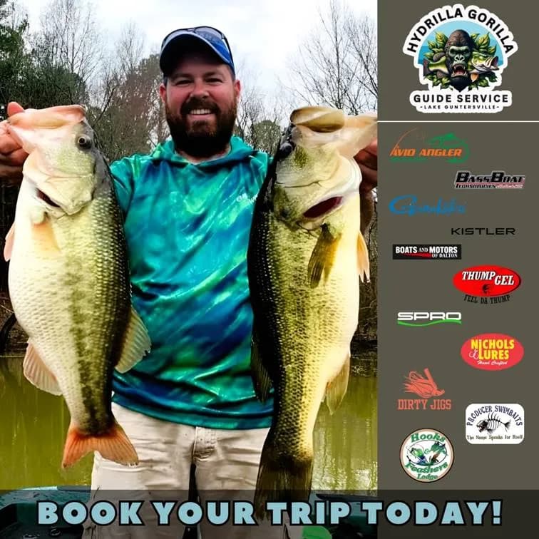 Hydrilla Gorilla Guide Service lodge photo