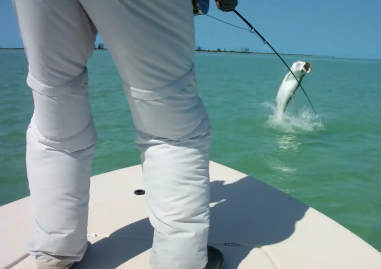 Joulters Fly Fishing lodge photo