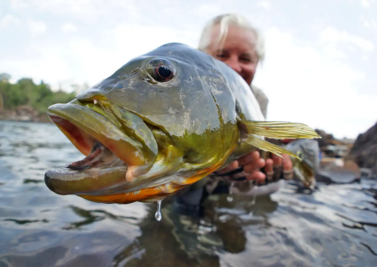 Kendjam lodge photo