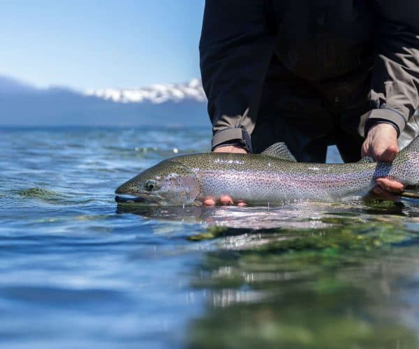 King Salmon Lodge lodge photo