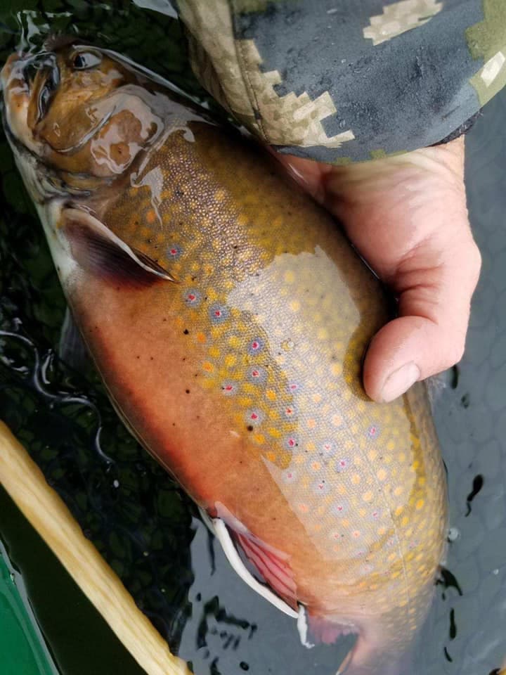 Libby Camps lodge photo