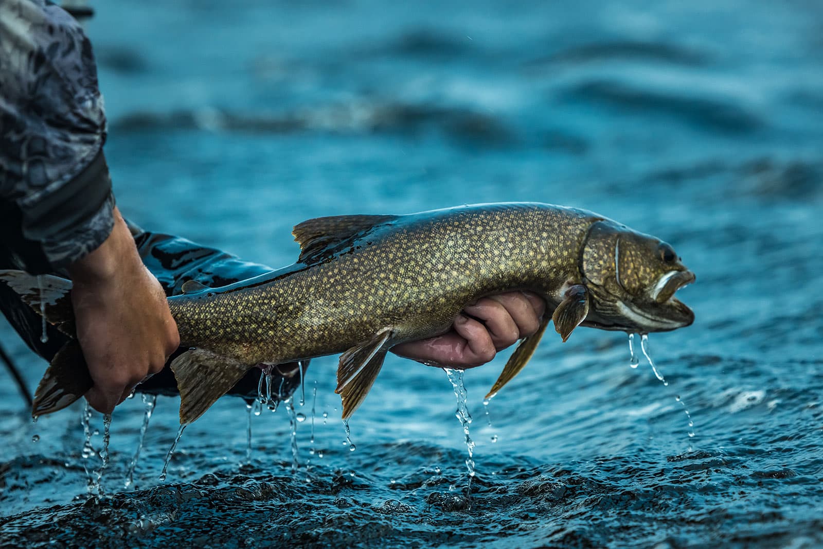 Marshland Outfitters lodge photo
