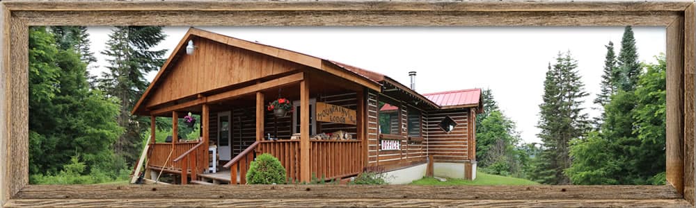 Mountainview Lodge lodge photo