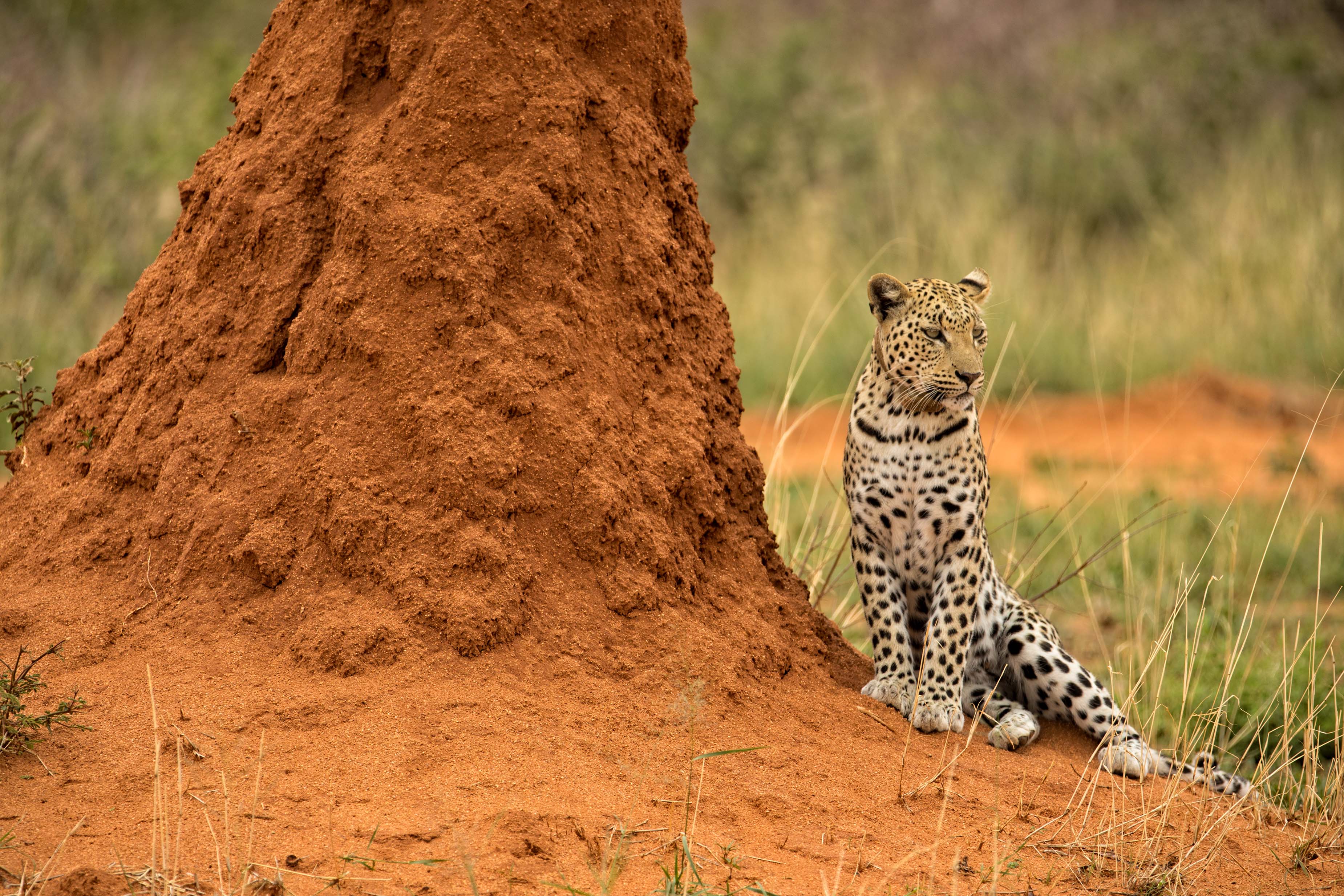 Namibia Tours and Safaris lodge photo