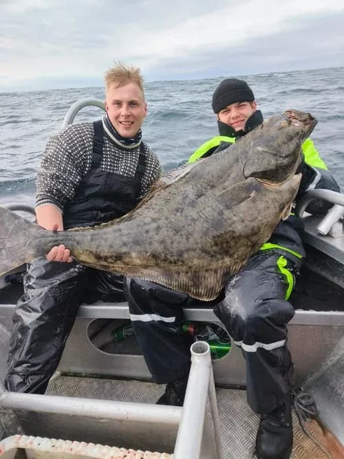 Norway Guide Fishing lodge photo