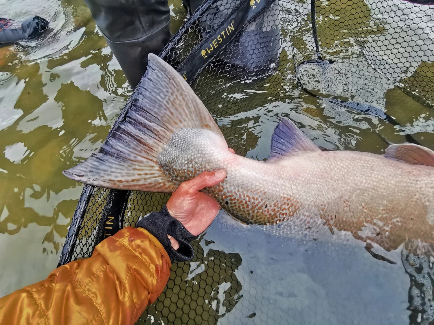 Oldero Fly Fishing Lodge lodge photo