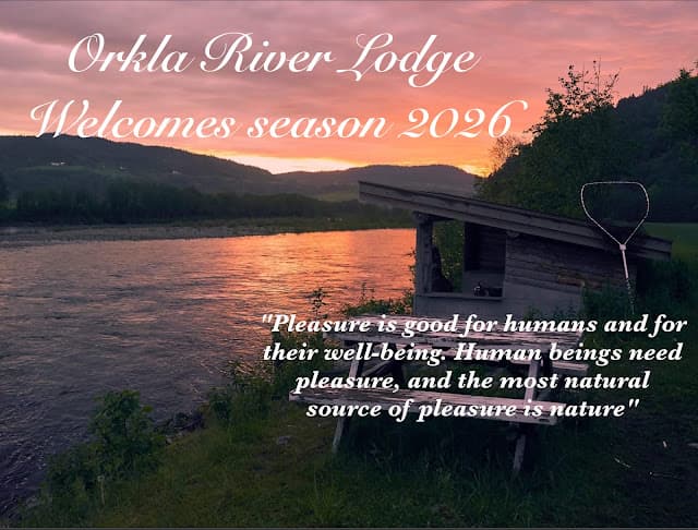 ORKLA RIVER LODGE Salmonfishing Norway lodge photo