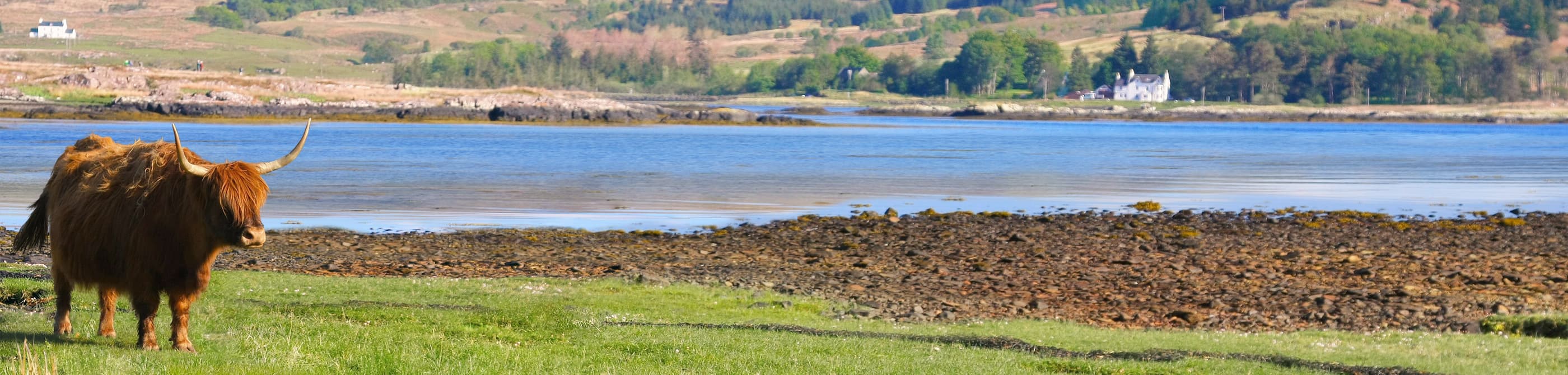 Scotland Holiday Cottage lodge photo