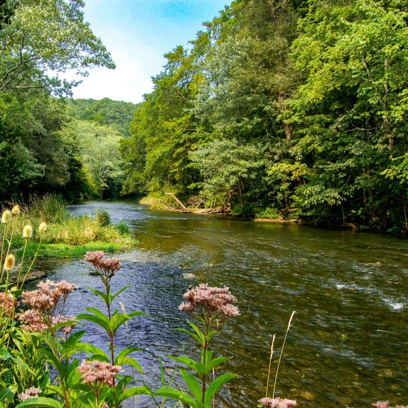 Spring Creek Trout Unlimited lodge photo