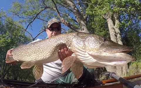 Stream and Brook Fly Fishing lodge photo