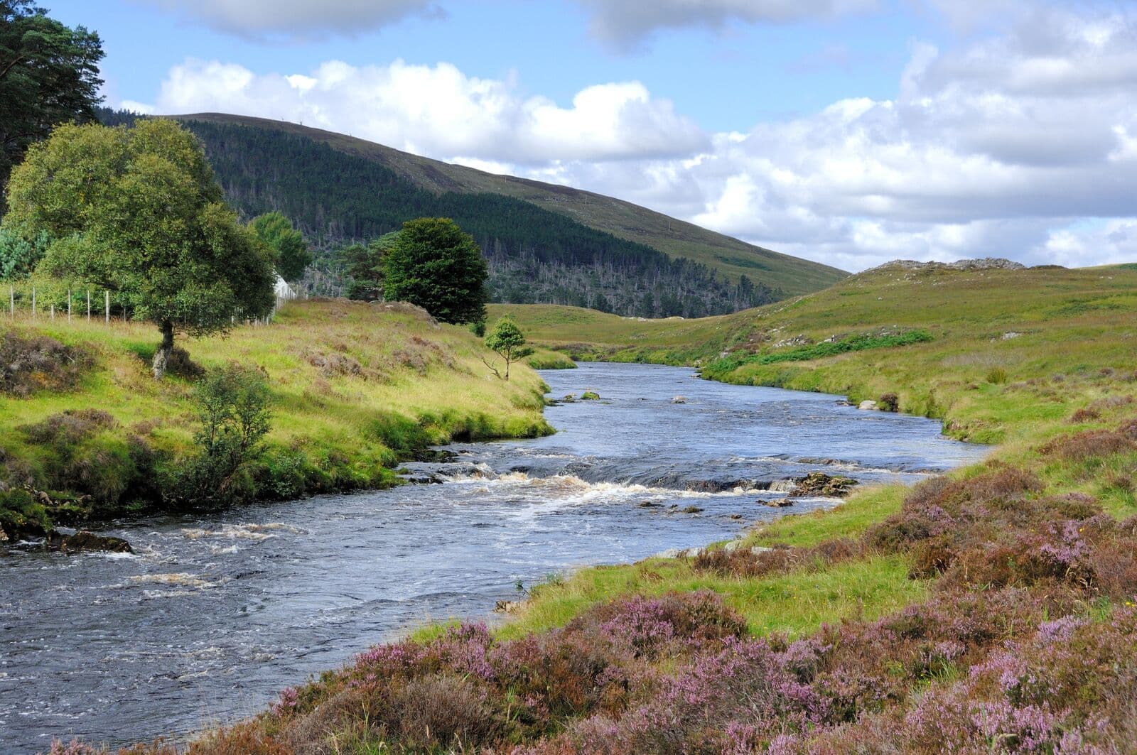 Suisgill Estate lodge photo