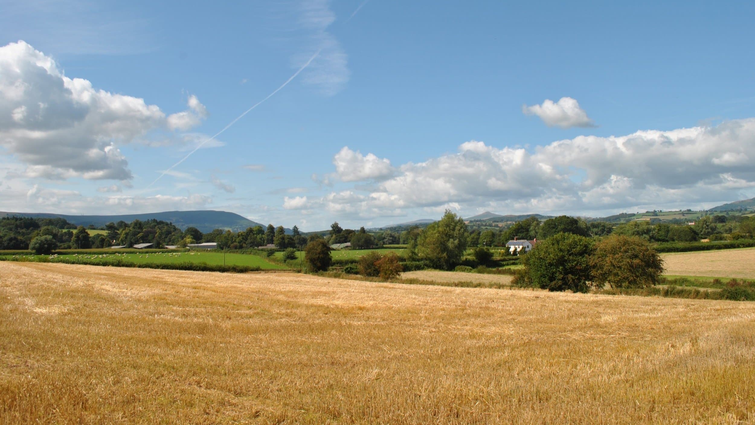 Swanmeadow Cottages lodge photo