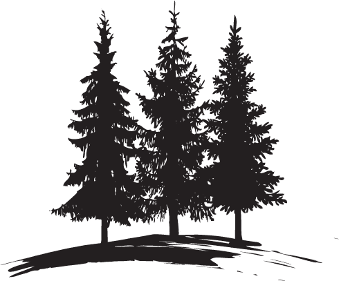Tall Pines Camp Perrault Falls lodge photo