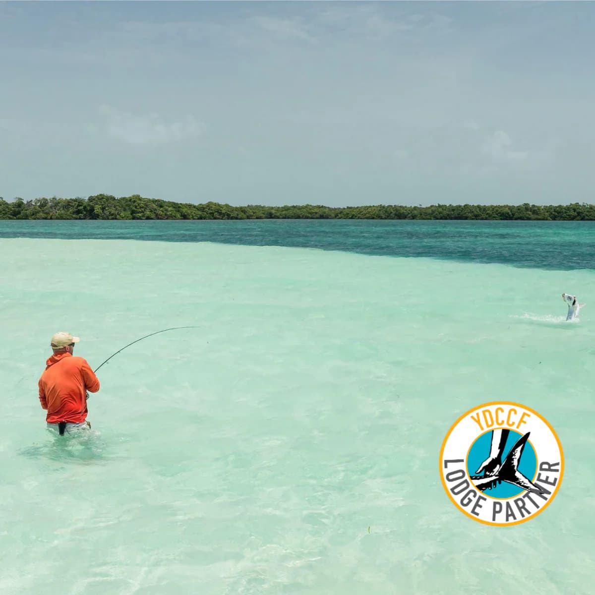Tarpon Sands lodge photo