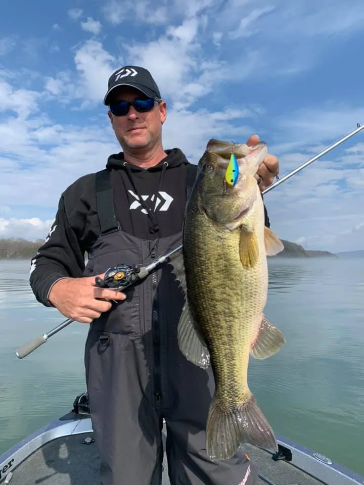 Mildrilla Fishing lodge photo