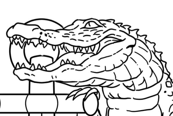 Twigg's Gator Outfitter lodge photo
