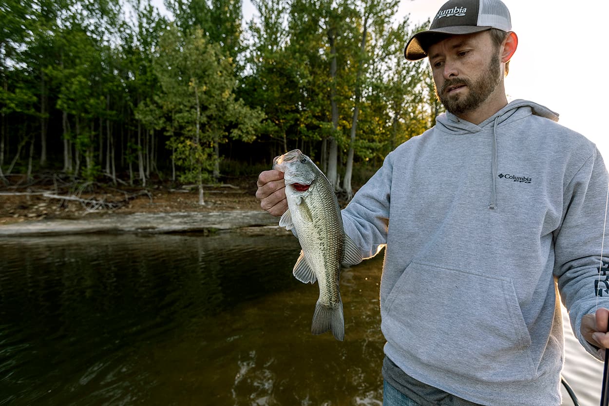 Two good state resort parks for early summer fishing lodge photo