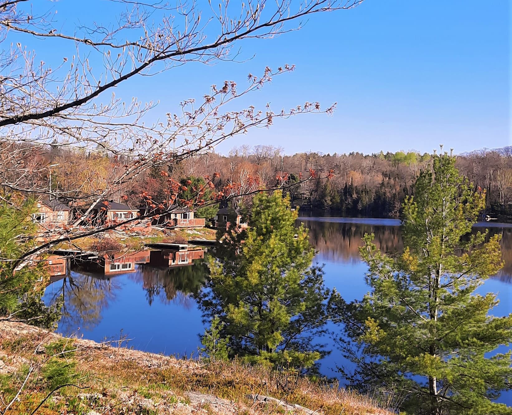 Waterfallslodgeinc lodge photo