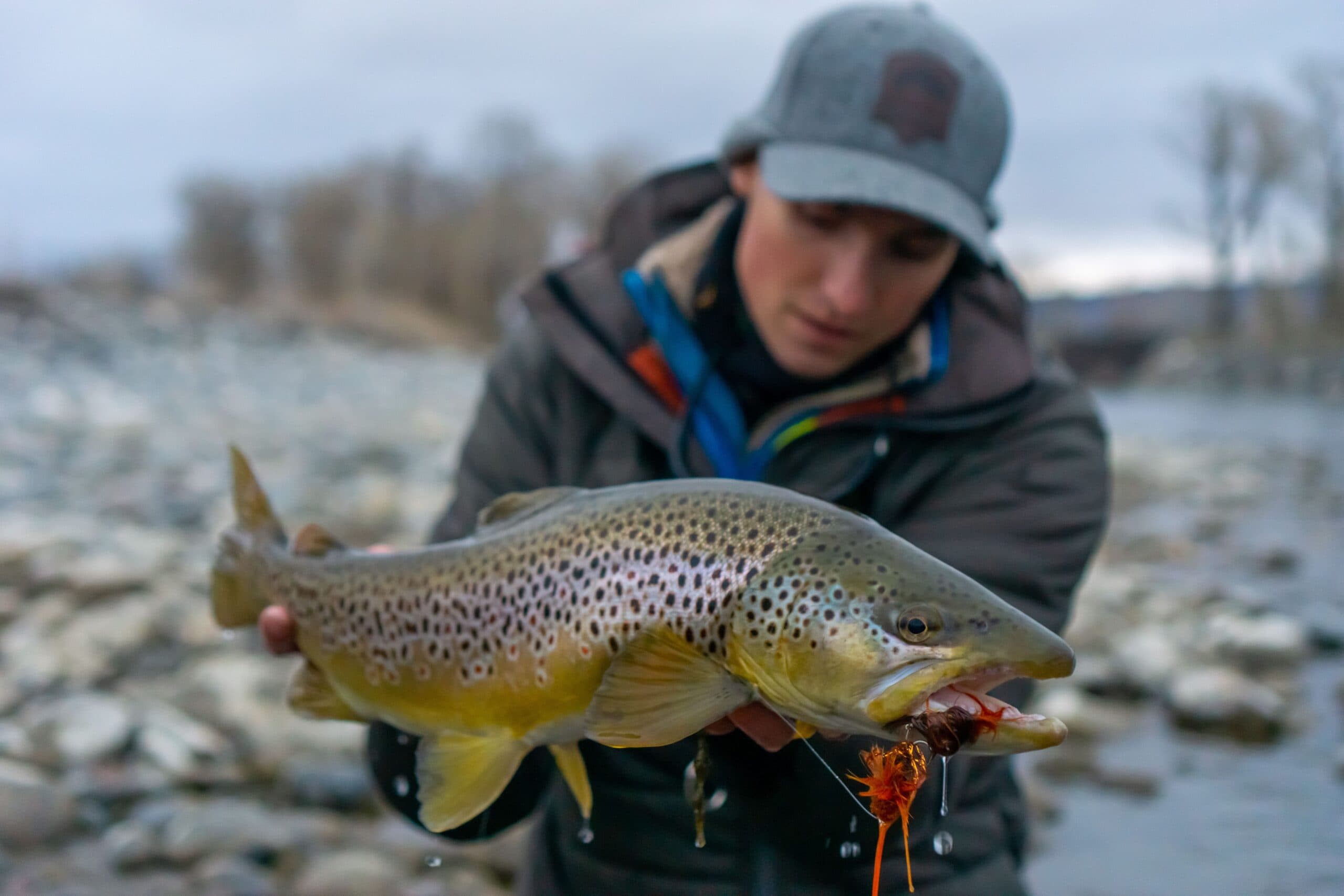 Wet Net Outfitters lodge photo