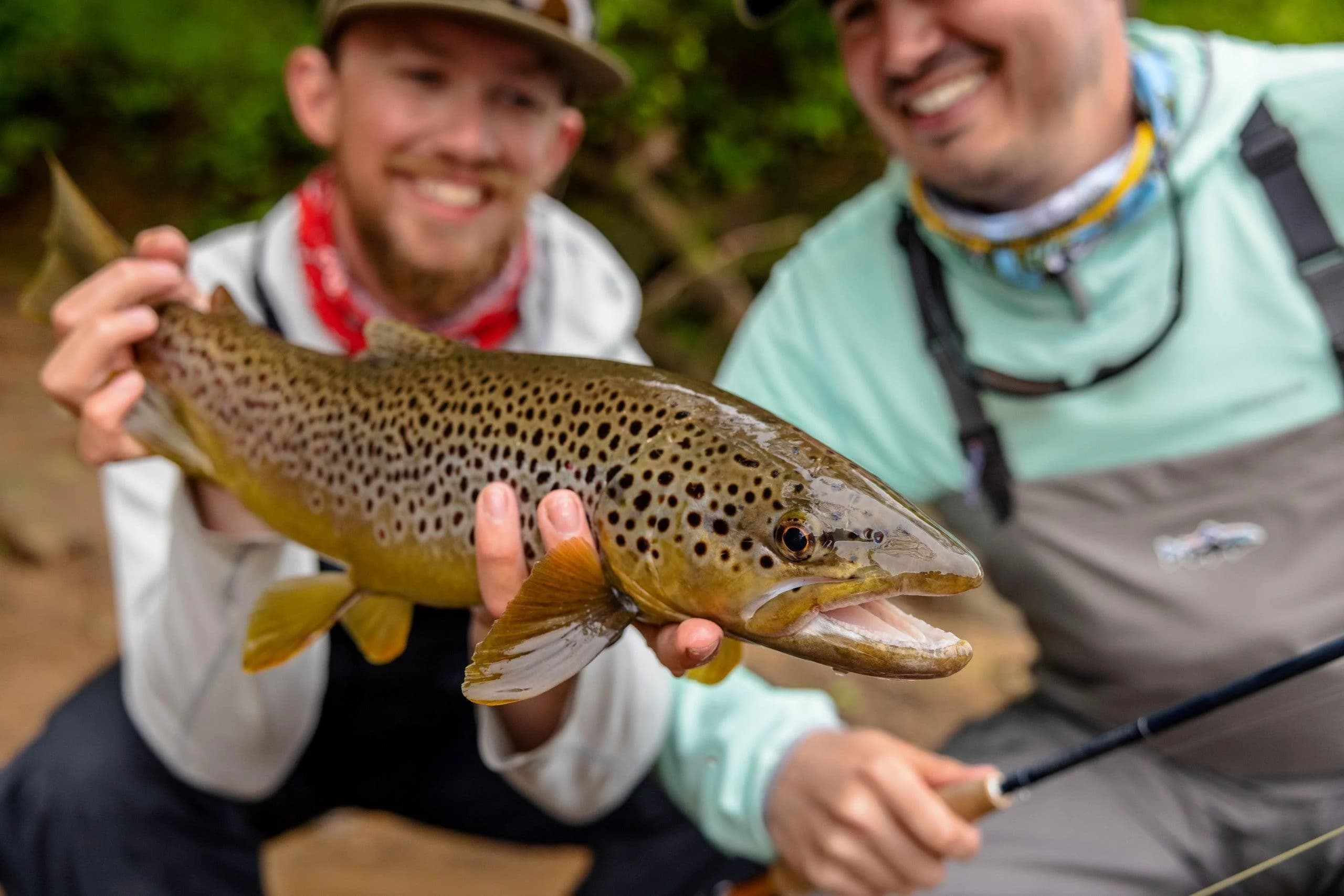 Woodard Fly Fishing lodge photo